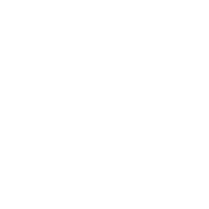 NAANDANJAIN-LOGOTIPO
