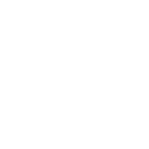 Orca