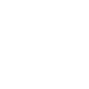 Solisteel